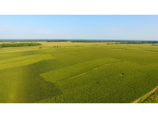 TRACT 4 - ILLINOIS LAND AUCTION - 4,810+/- ACRES OFFERED IN 85 TRACTS IN FRANKLIN, WILLIAMSON, HAMILTON & SALINE COUNTIES, ILLINOIS